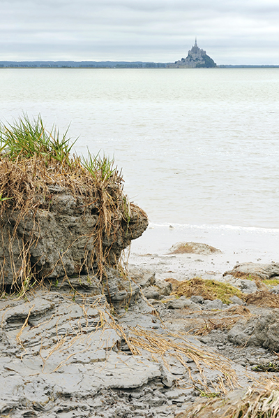 zee strand eiland oogst zee strand eiland oogst