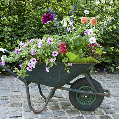 zomerbloeiers kruiwagen