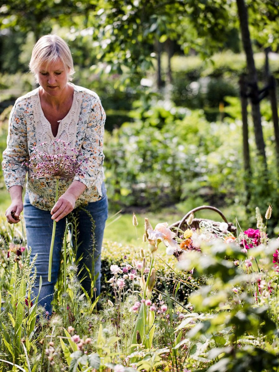Binnen- buitenkijken schoffelparadijs Beemster