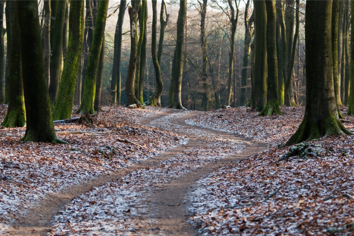 wandeling