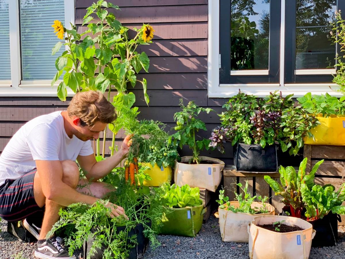 kruidentuintje - mini moestuin - Planty - makkelijke moestuin