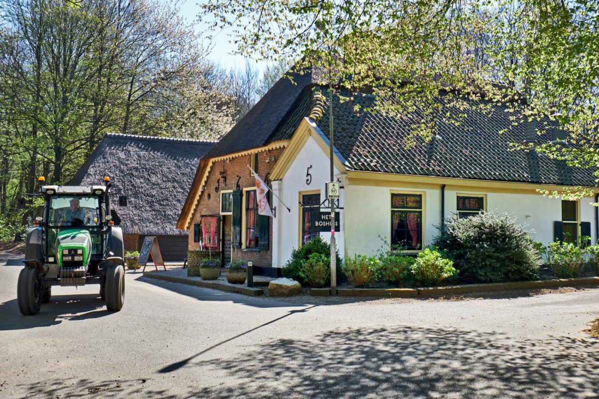Boshuis Drie