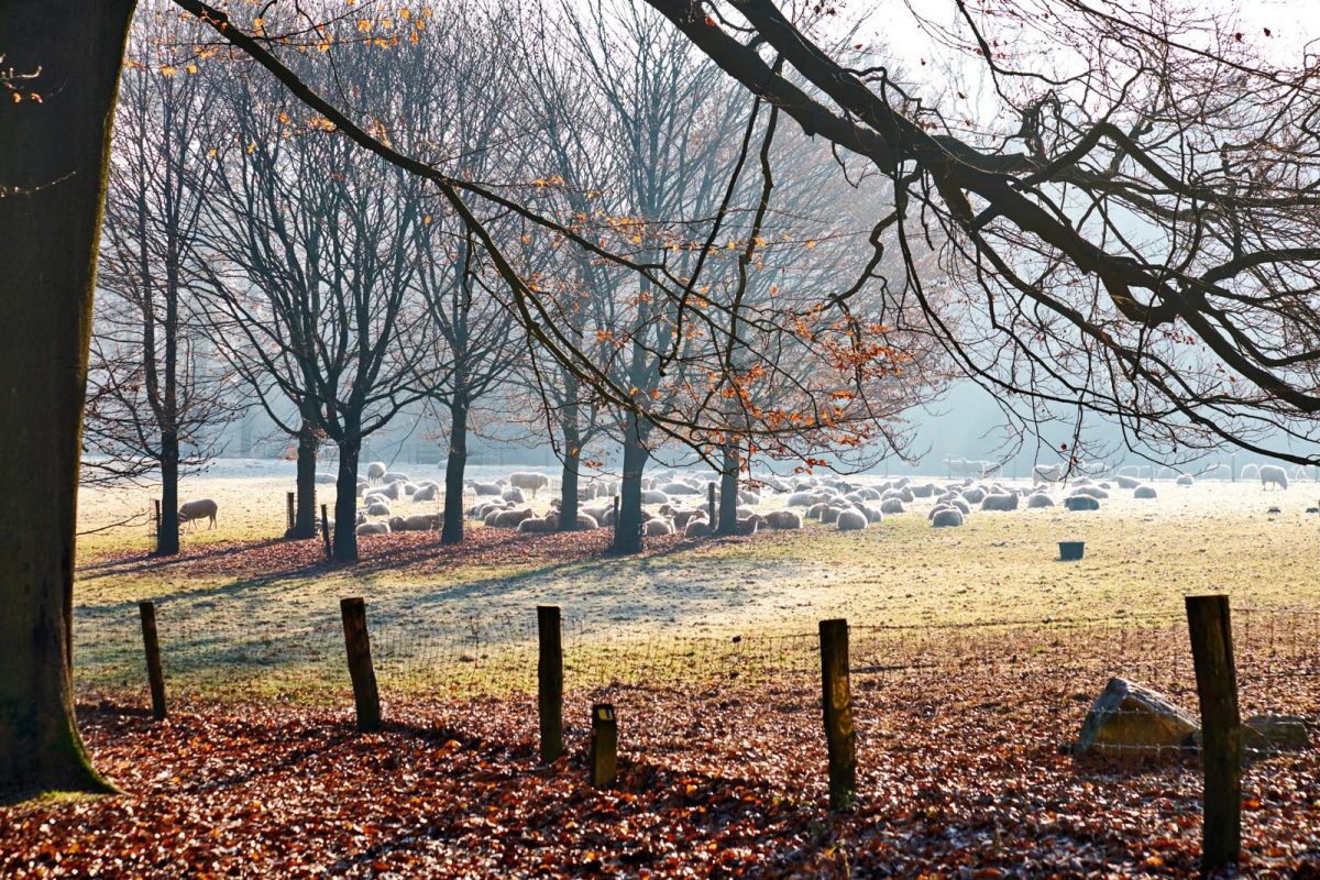 natuurpaviljoen de Posbank