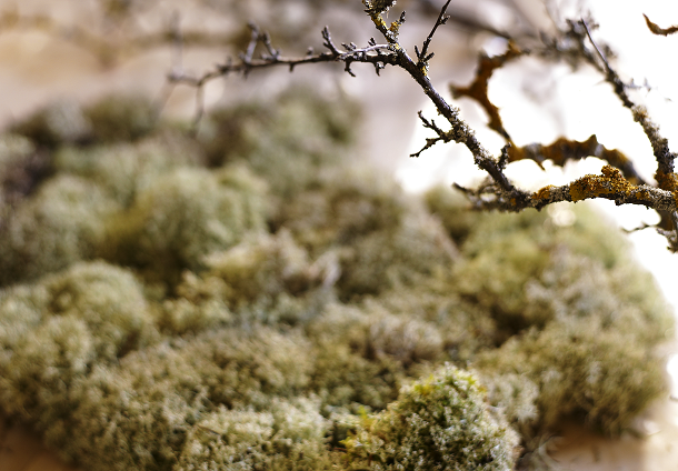 1. cardo-049-13gen2011v2