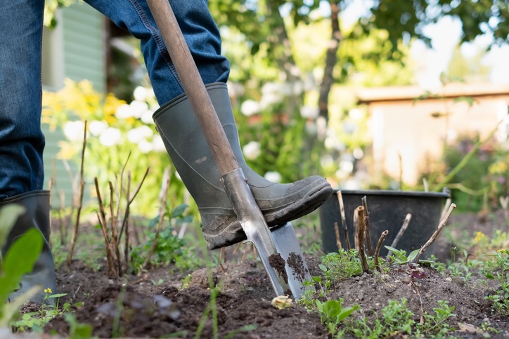 hark - planten - verplanten en scheuren - tuinklusjes voor oktber