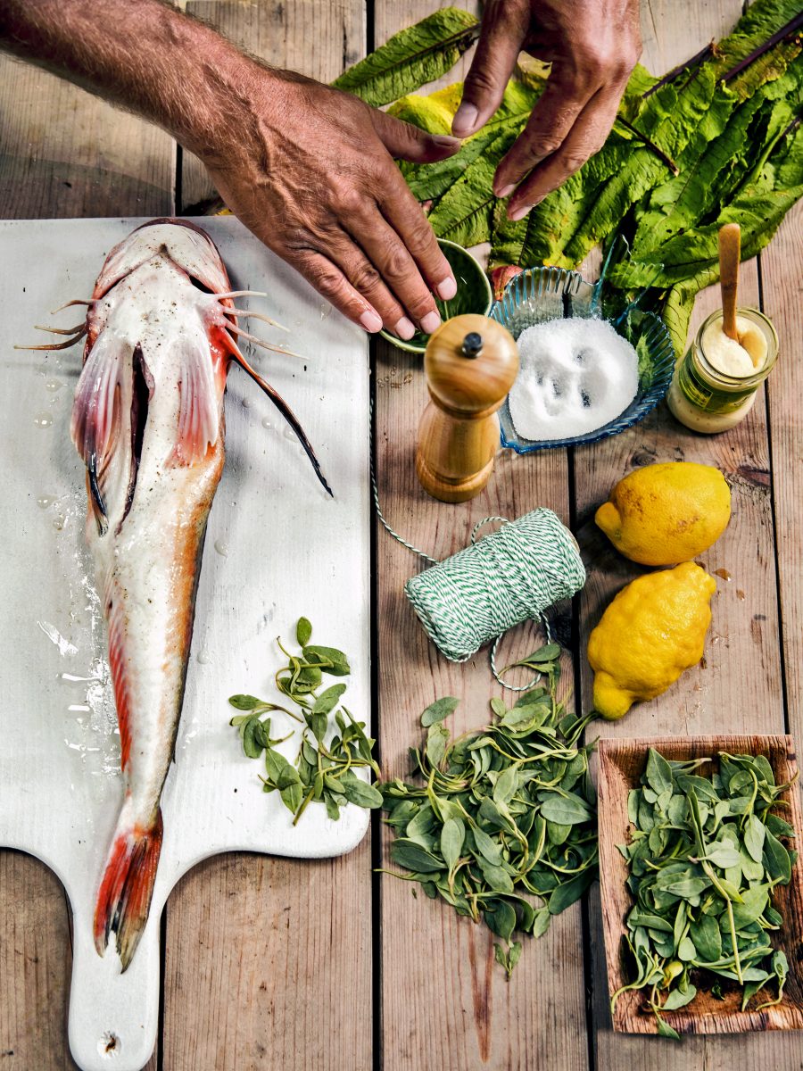 Forel in vijgen- of mosterdblad