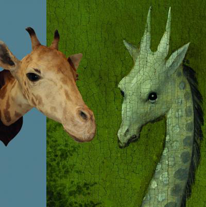 2 giraffekop300dpi.jpg-crop-764.8208333333333-0-3503.70625-3508-3503.70625-3508.jpg-crop-0-0-400-401-3503-3508
