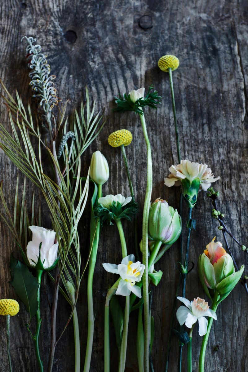 voorjaarsbloemen