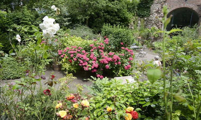 Open Tuinendag Utrecht
