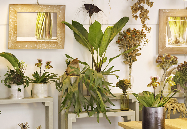 3. cardo-12_Dic_2011-069v2