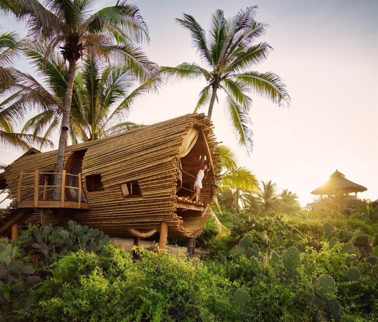 Playa Viva hotel