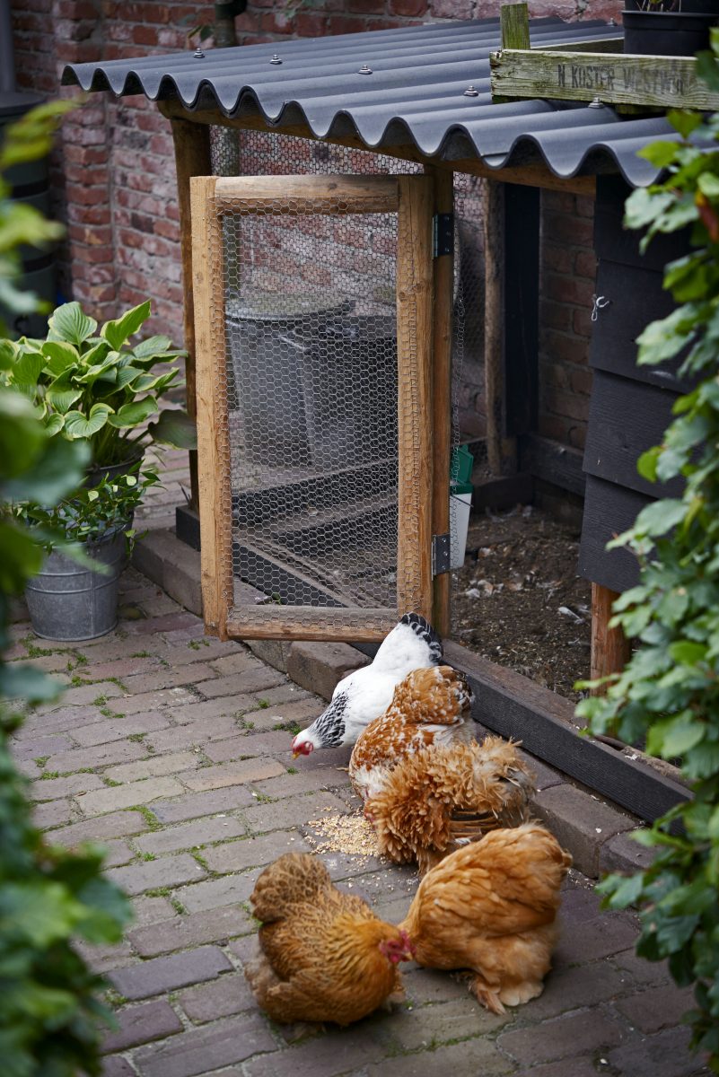 duurzame tuin
