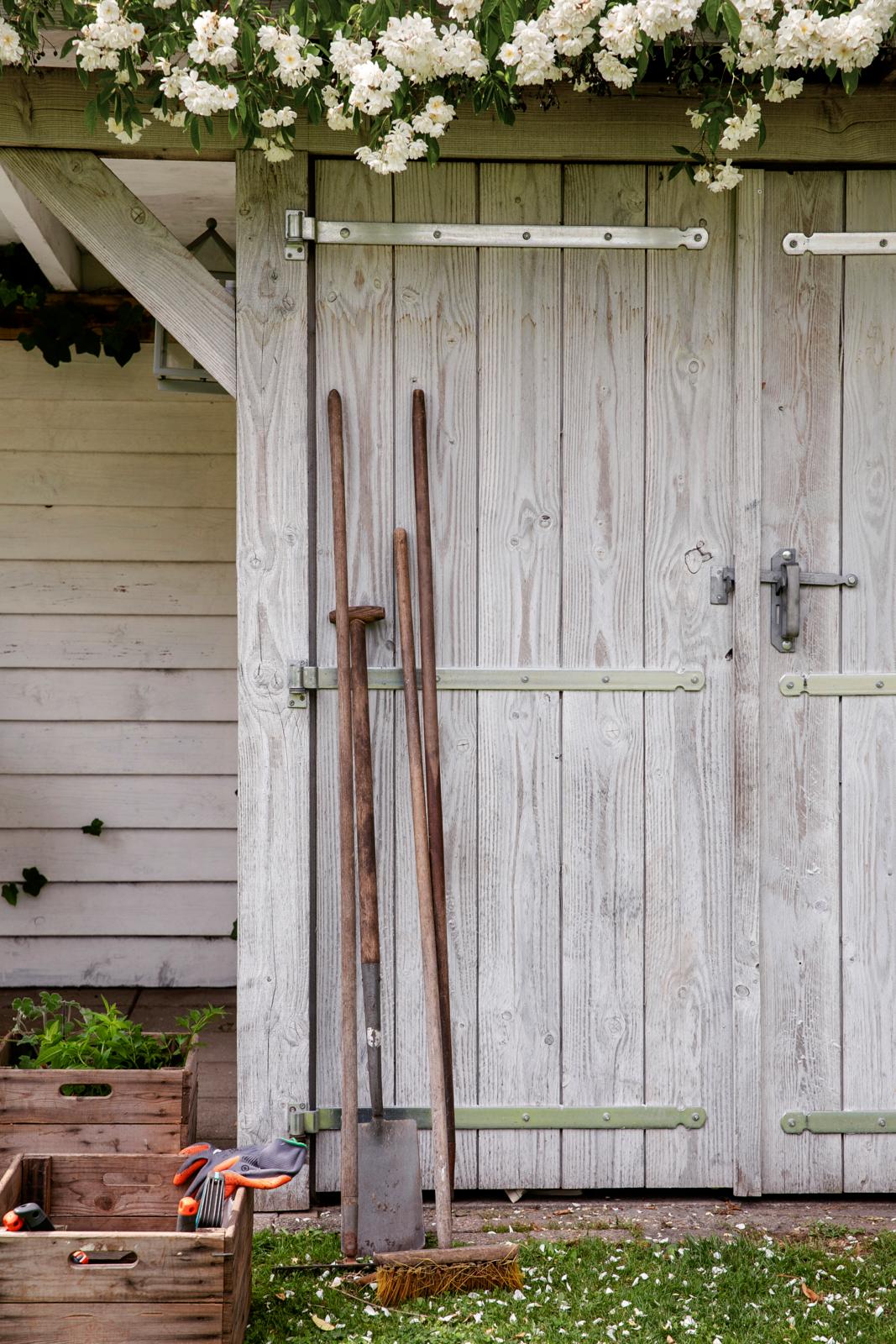 Tips kleine tuin