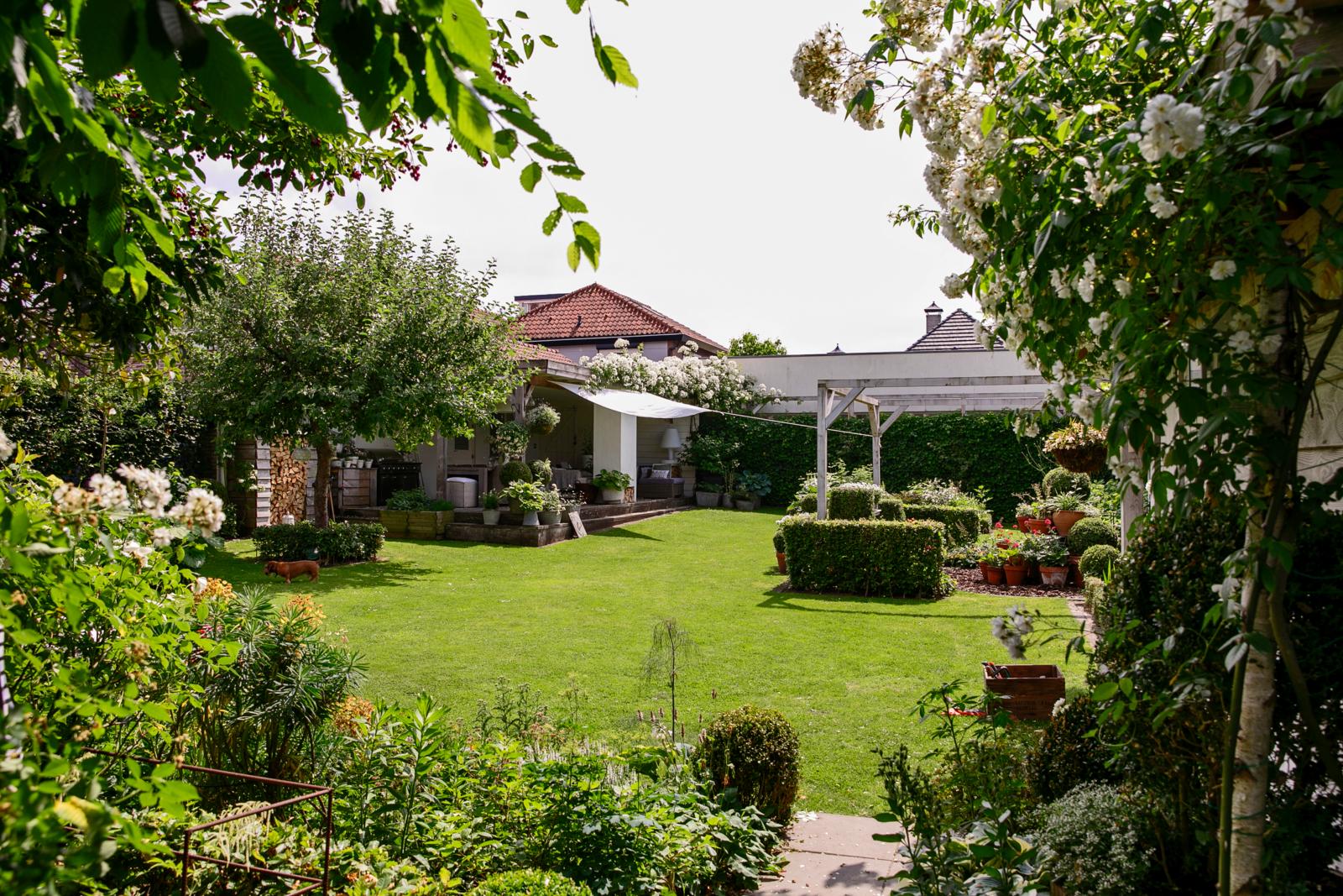 Tips kleine tuin