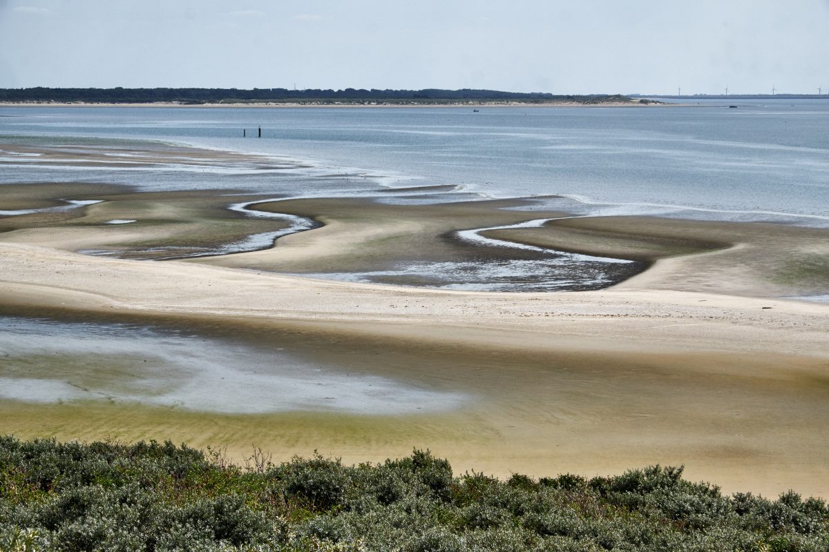 De Slikken van Voorne