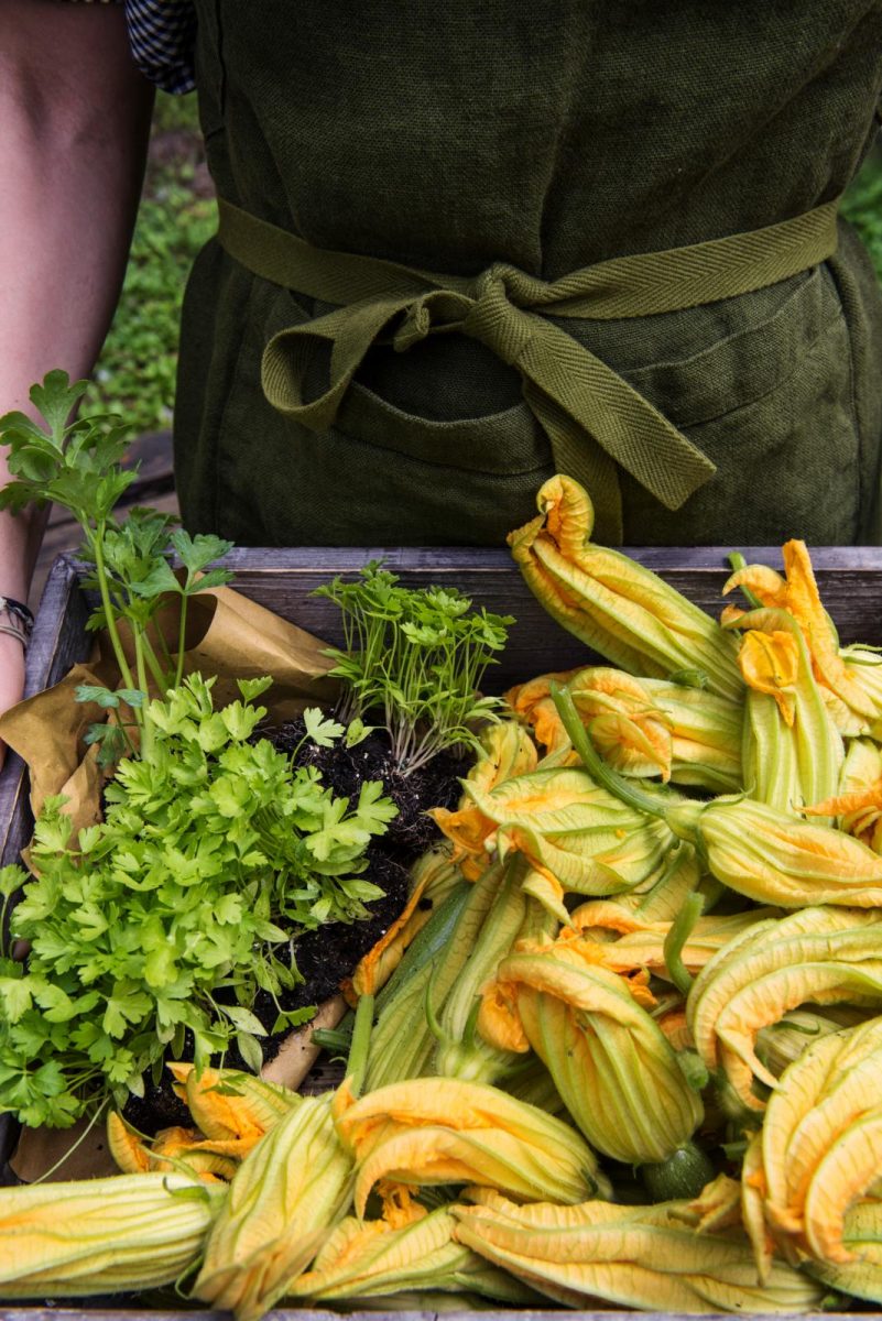 courgettebloemen