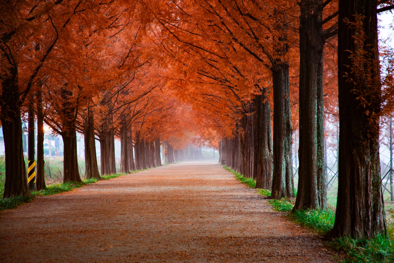 herfstfoto's