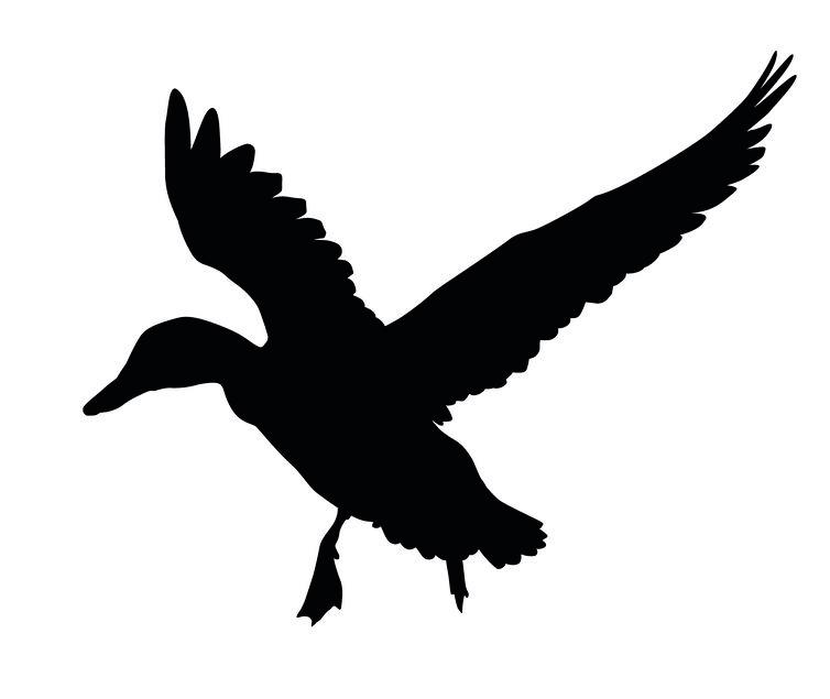 Sjablonen