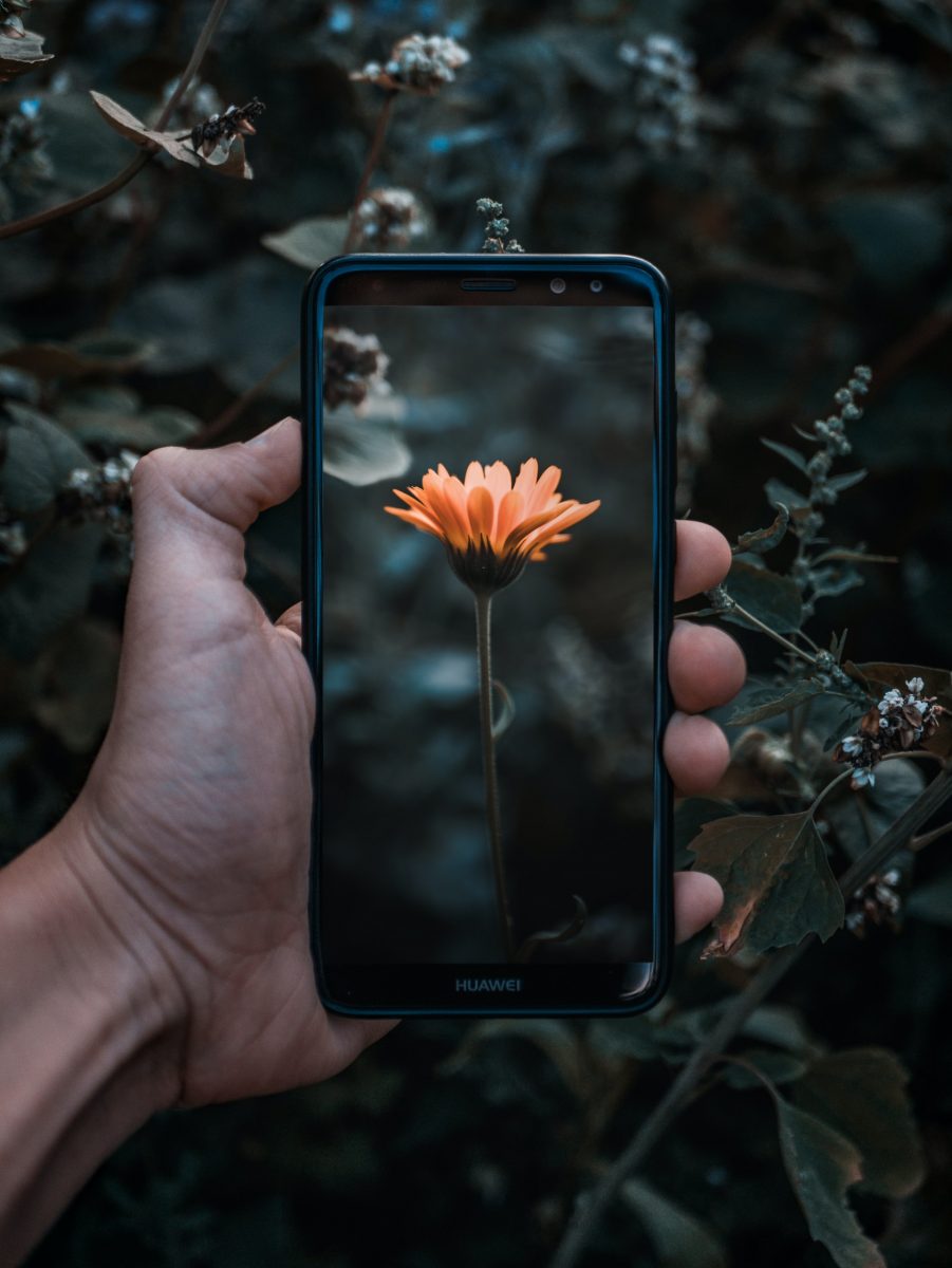 6 handige planten apps