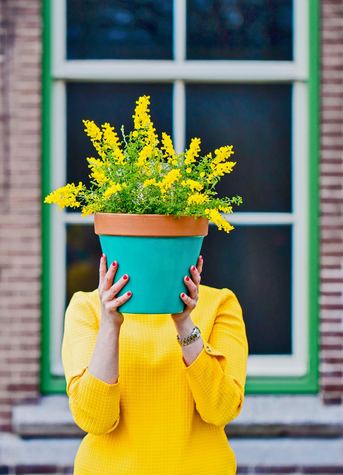 Terracotta plantenpot