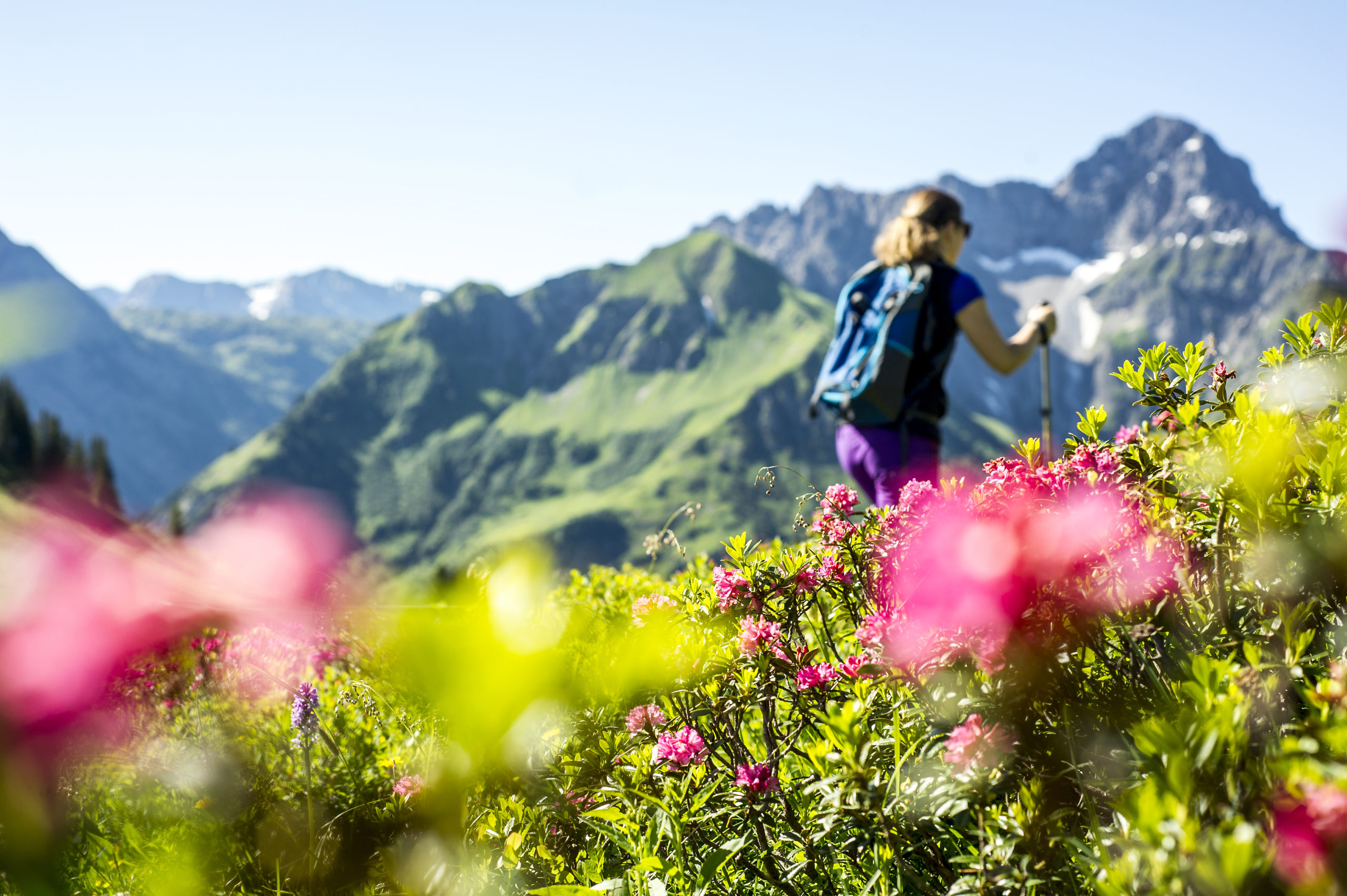 De Oostenrijkse natuur op haar mooist: talloze wandelroutes vol variatie