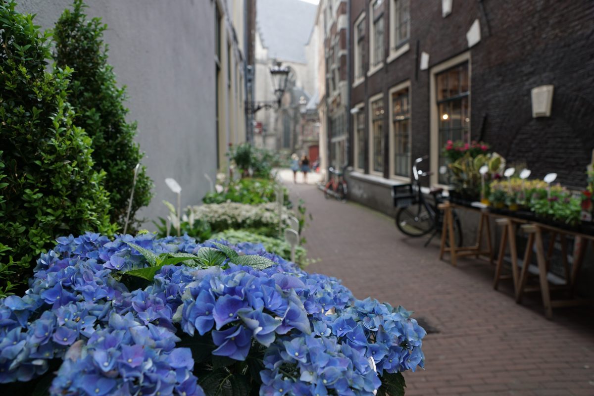 fijne wandelsteden Nederland