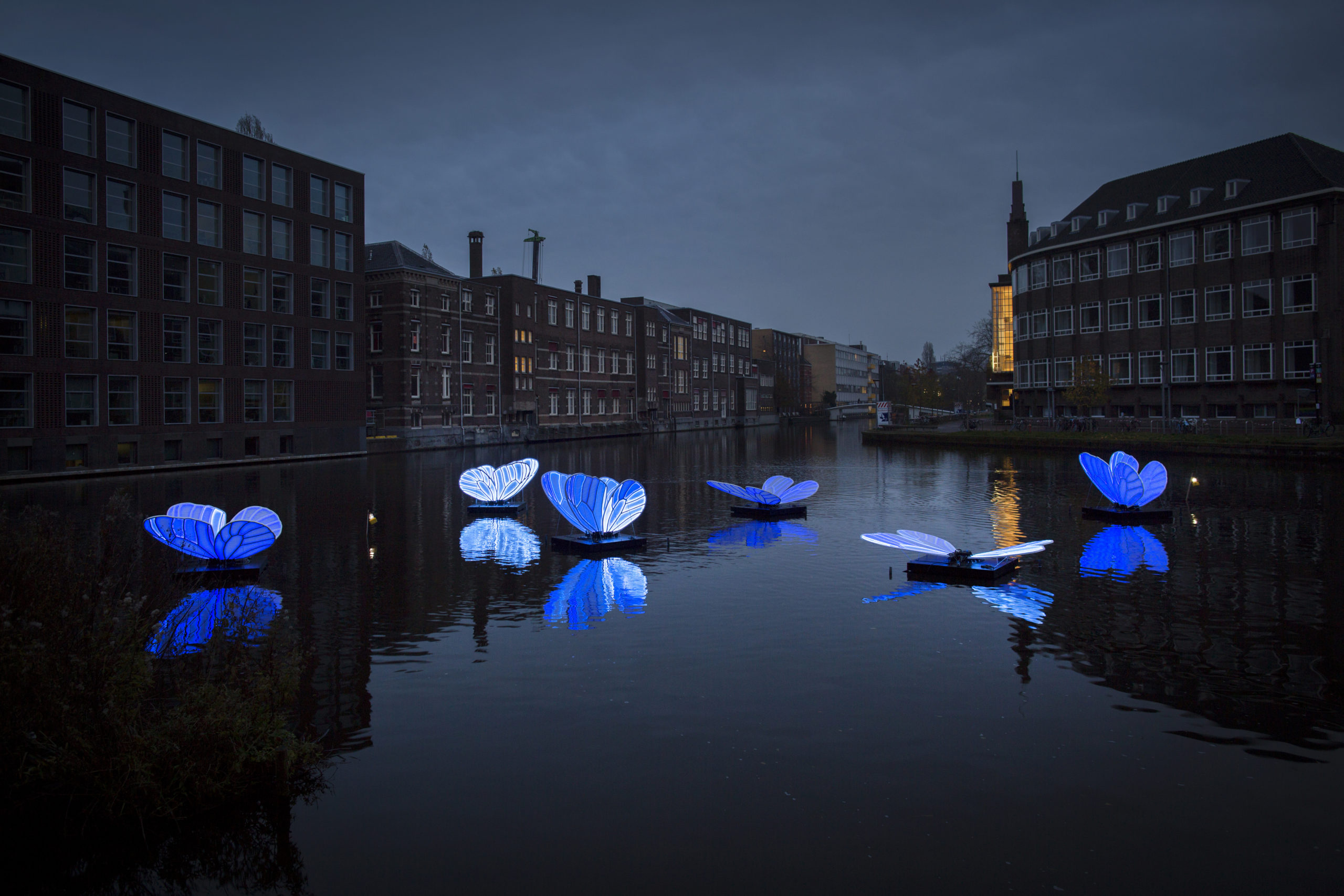 Het zijn de donkere dagen voor kerst, dus wat is er leuker dan de mooiste lichtjes op te zoeken? Dat kan tijdens het Amsterdam Light Festival.
