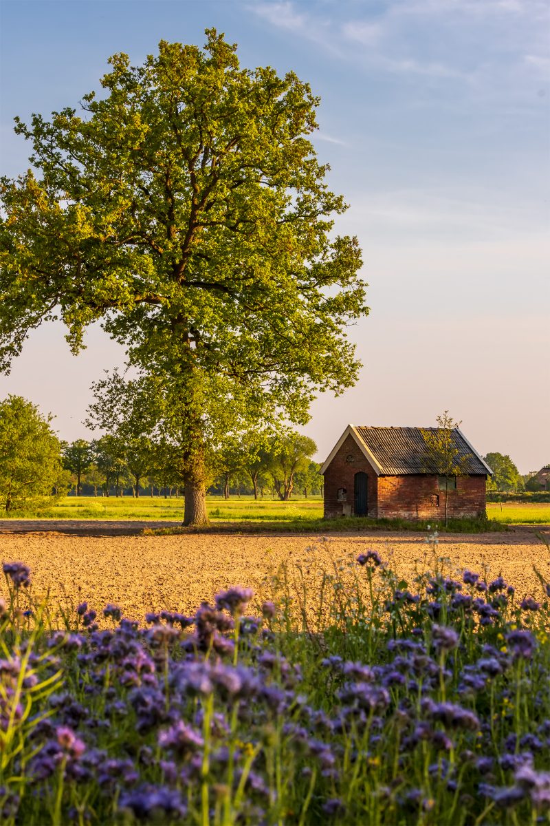 Achterhoek