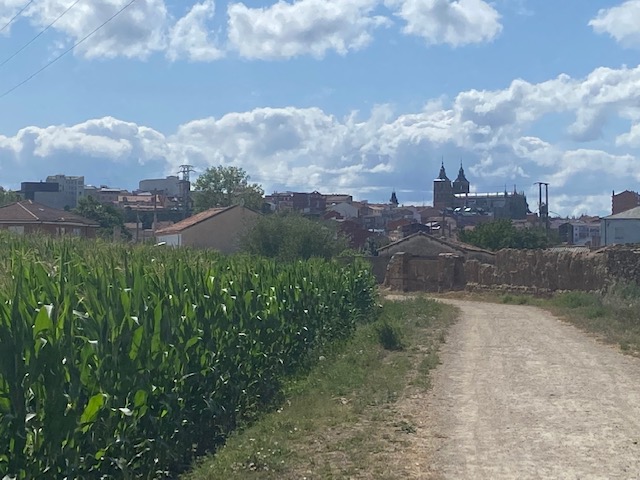 Camino