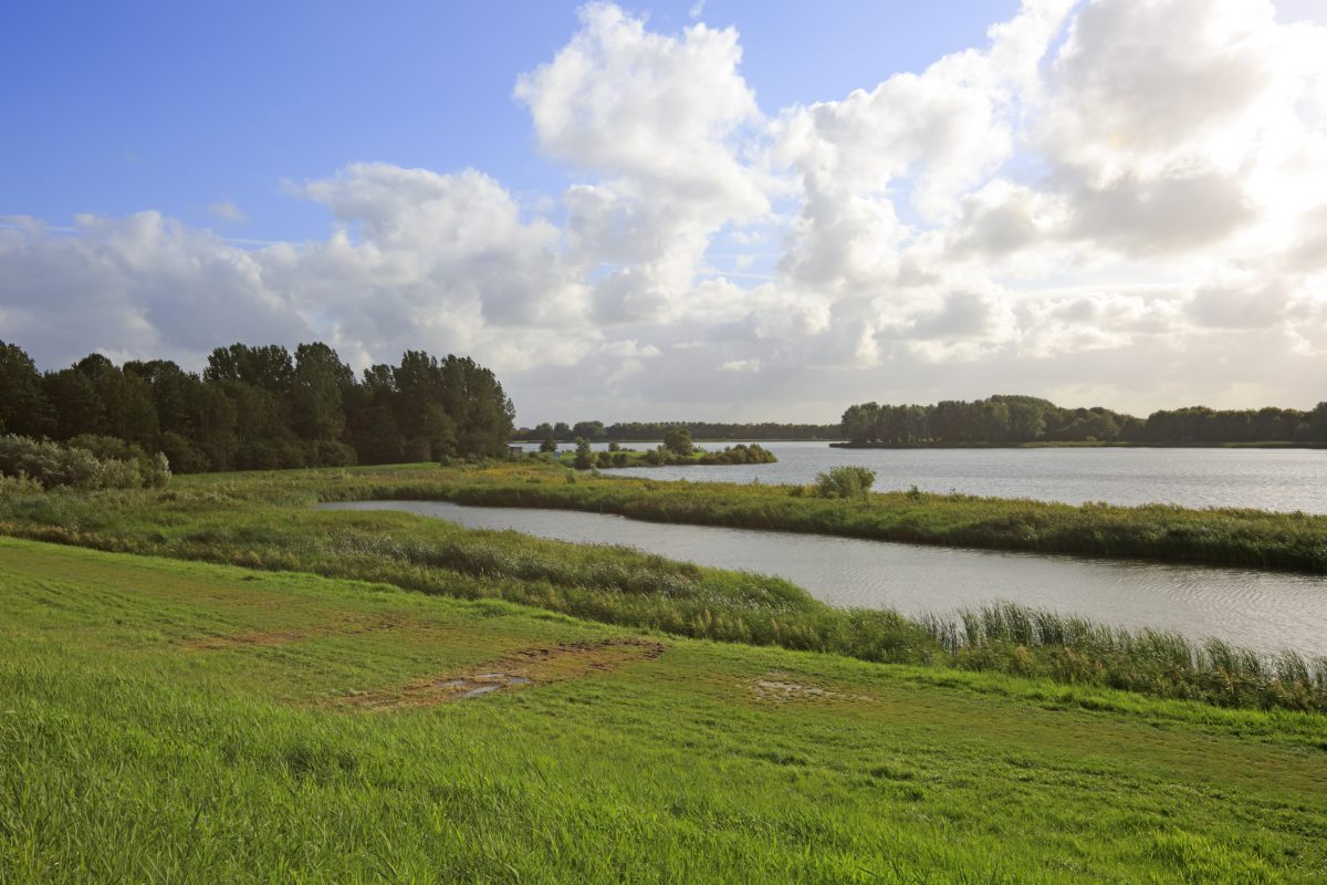 zomerdel