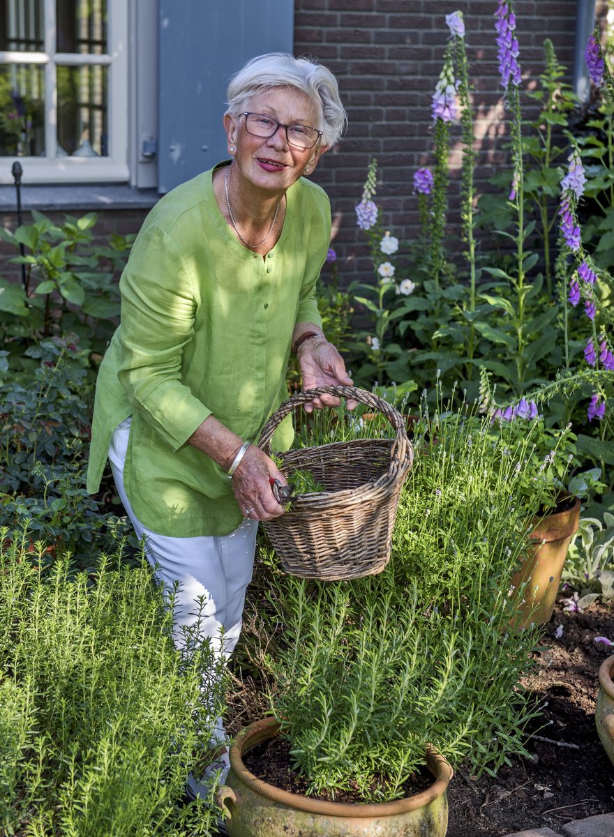 Cottage garden in Brabant