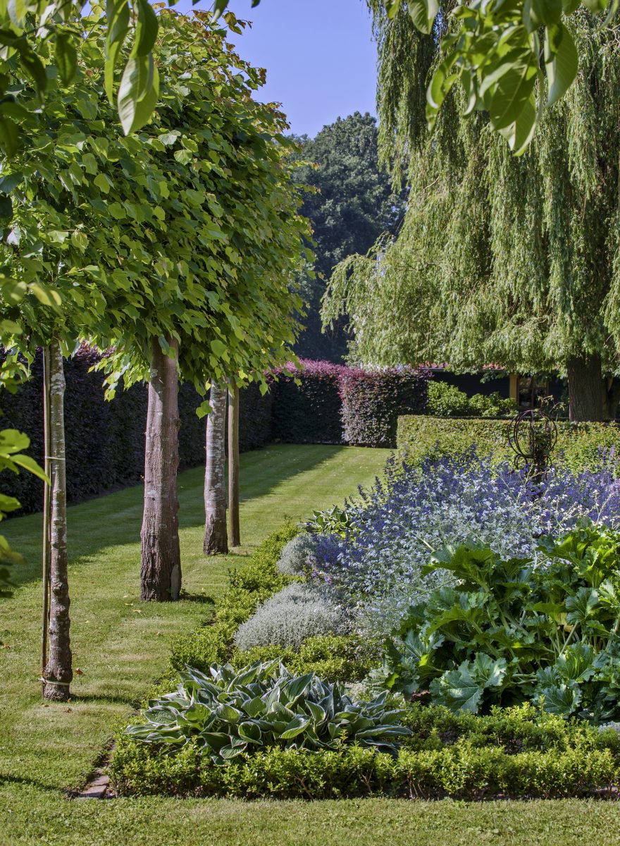 Cottage garden in Brabant