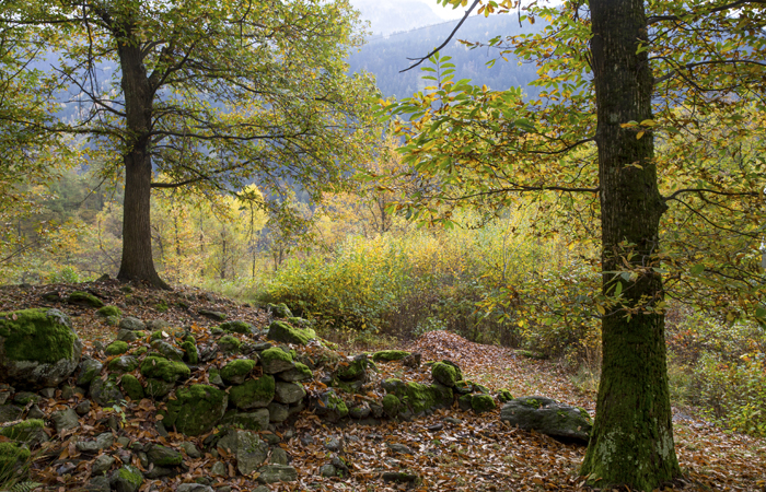 kastanjeleerpad Zwitserland Bergell nov. 2013