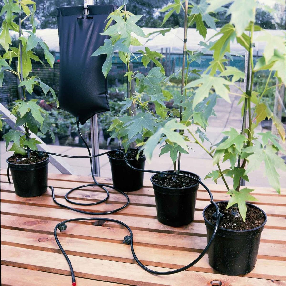 watergeefsysteem Big_Drippa allgarden