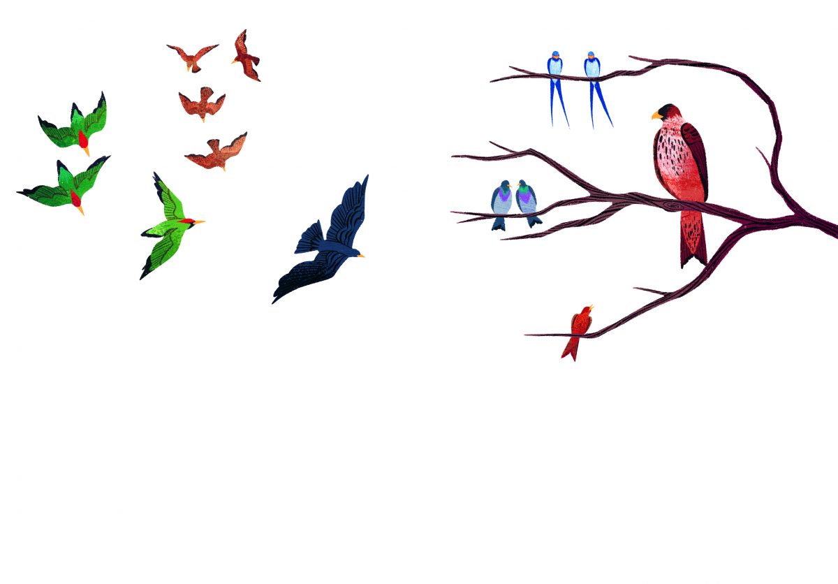 tuin dieren