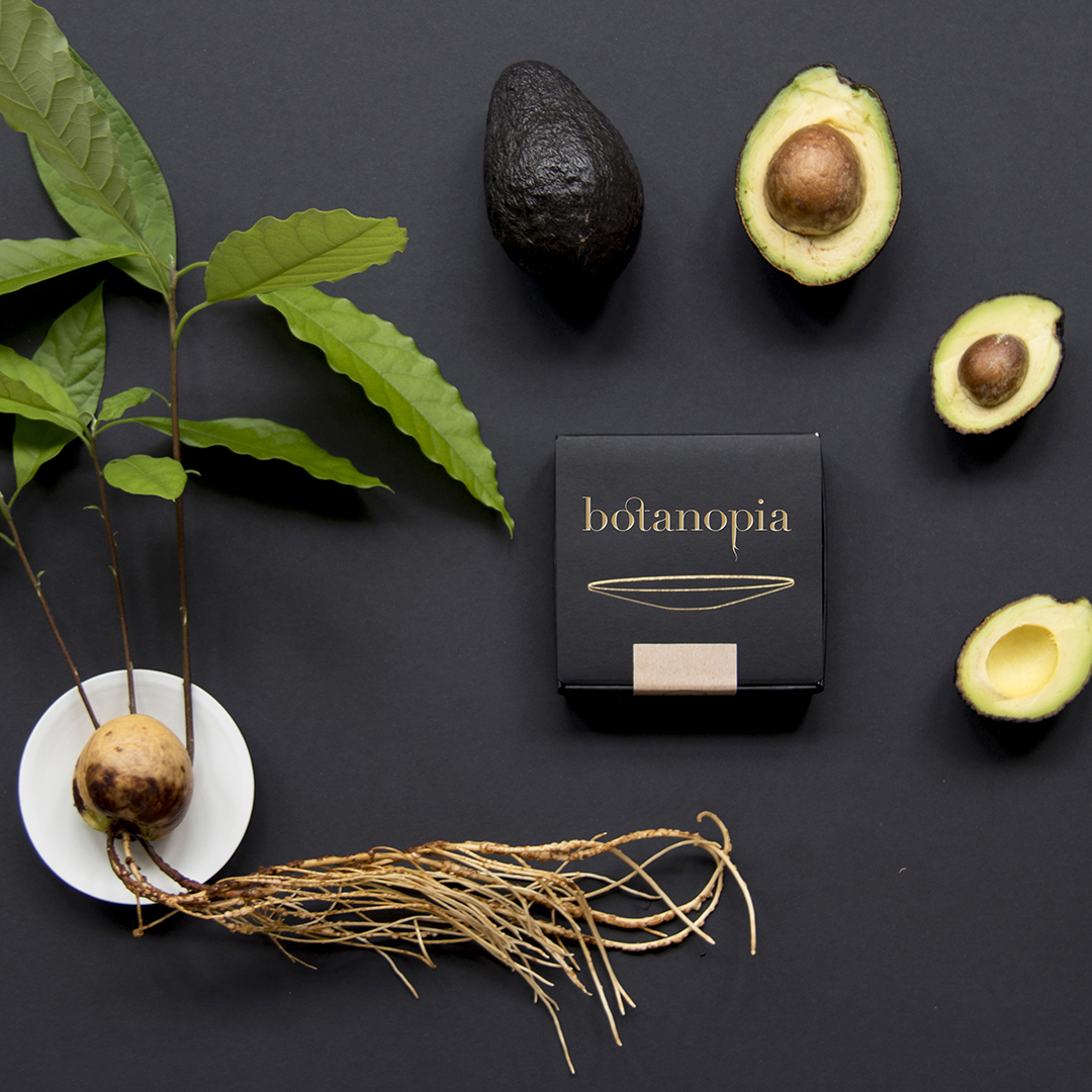 Botanopia kweekset