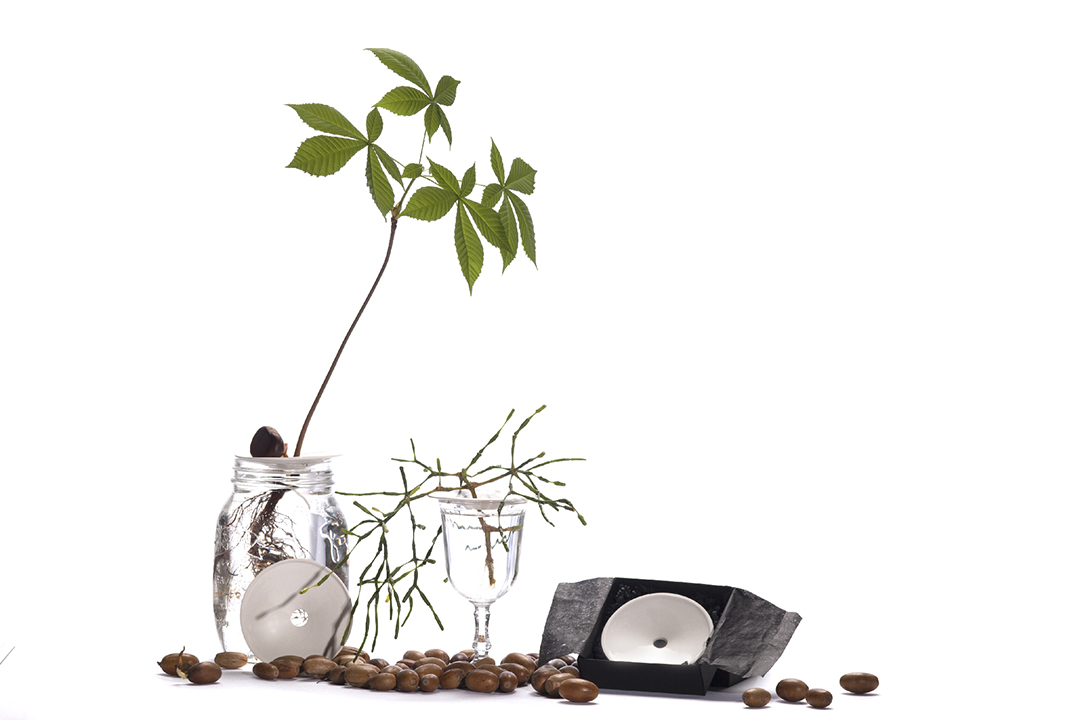 Botanopia kweekset