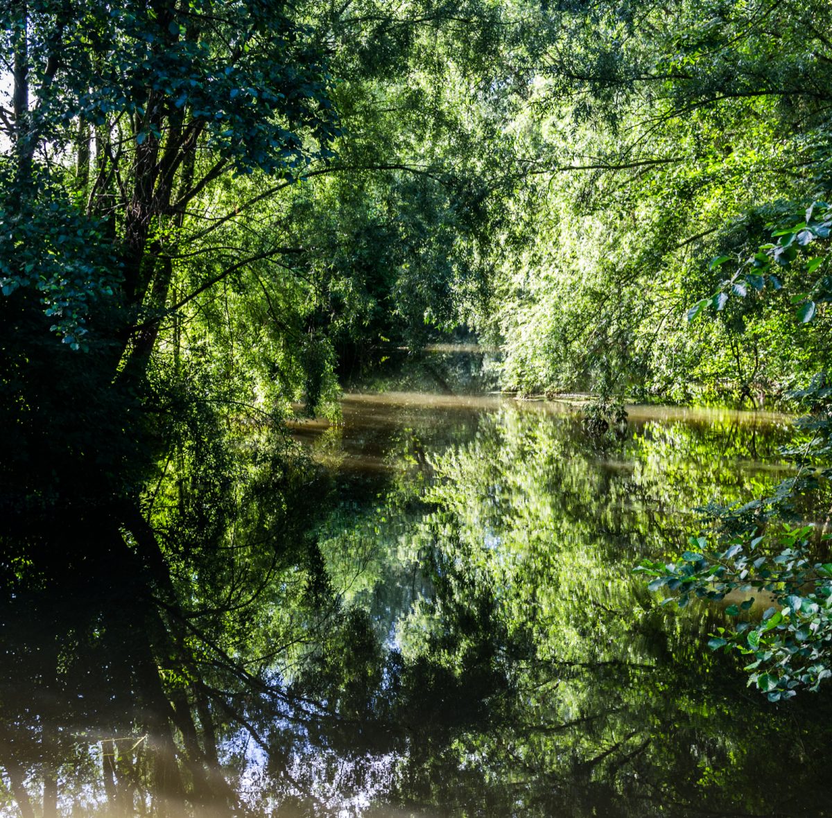 landgoed Niënhof
