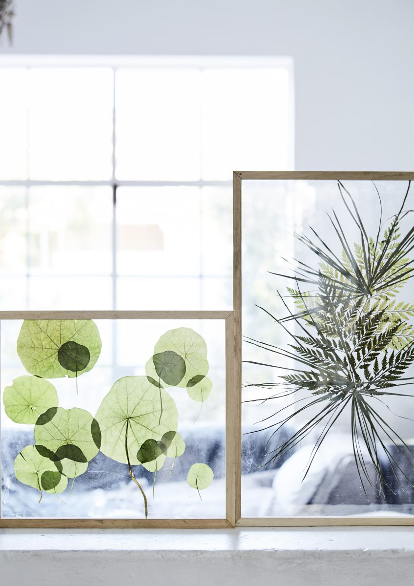 Prachtige stillevens: bloemen en planten drogen doe je zo