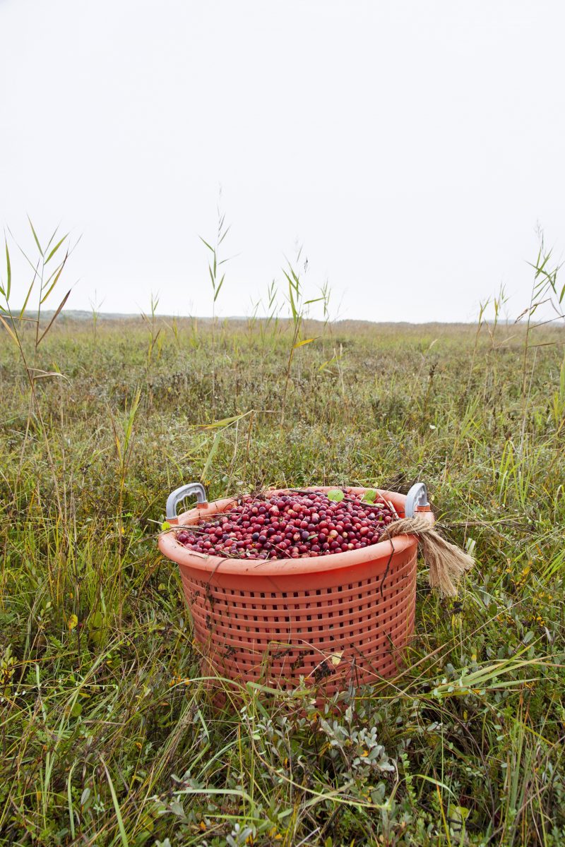 cranberries