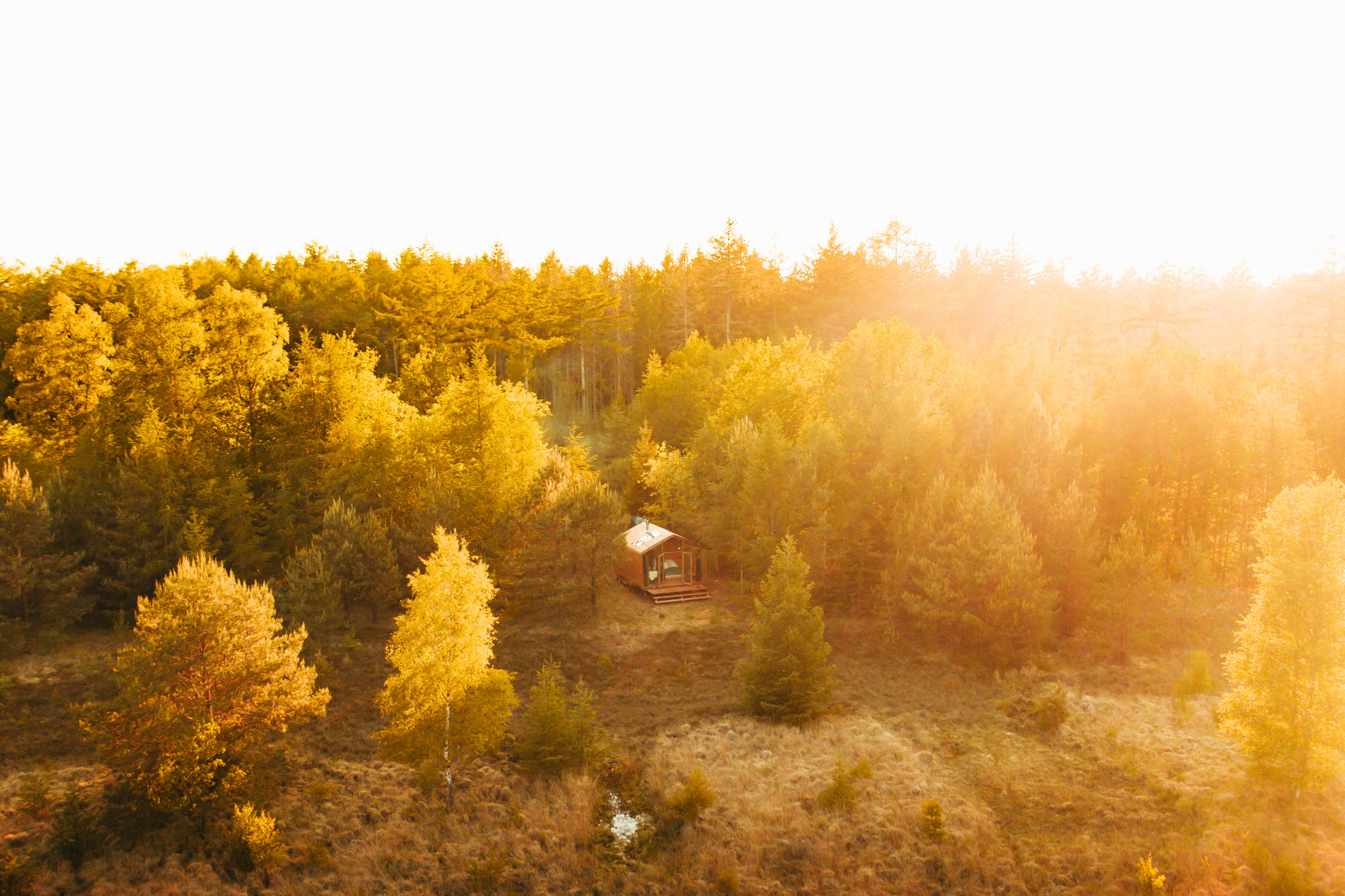Diep in het bos staan de logeerhuisjes van Cabiner. Ze zijn alleen te voet bereikbaar en worden regelmatig verplaatst, om de natuur niet te belasten.