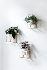 Plantenhanger
