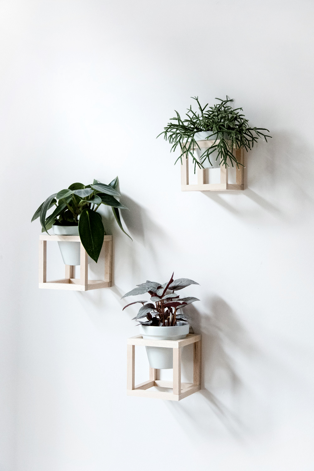 Plantenhanger