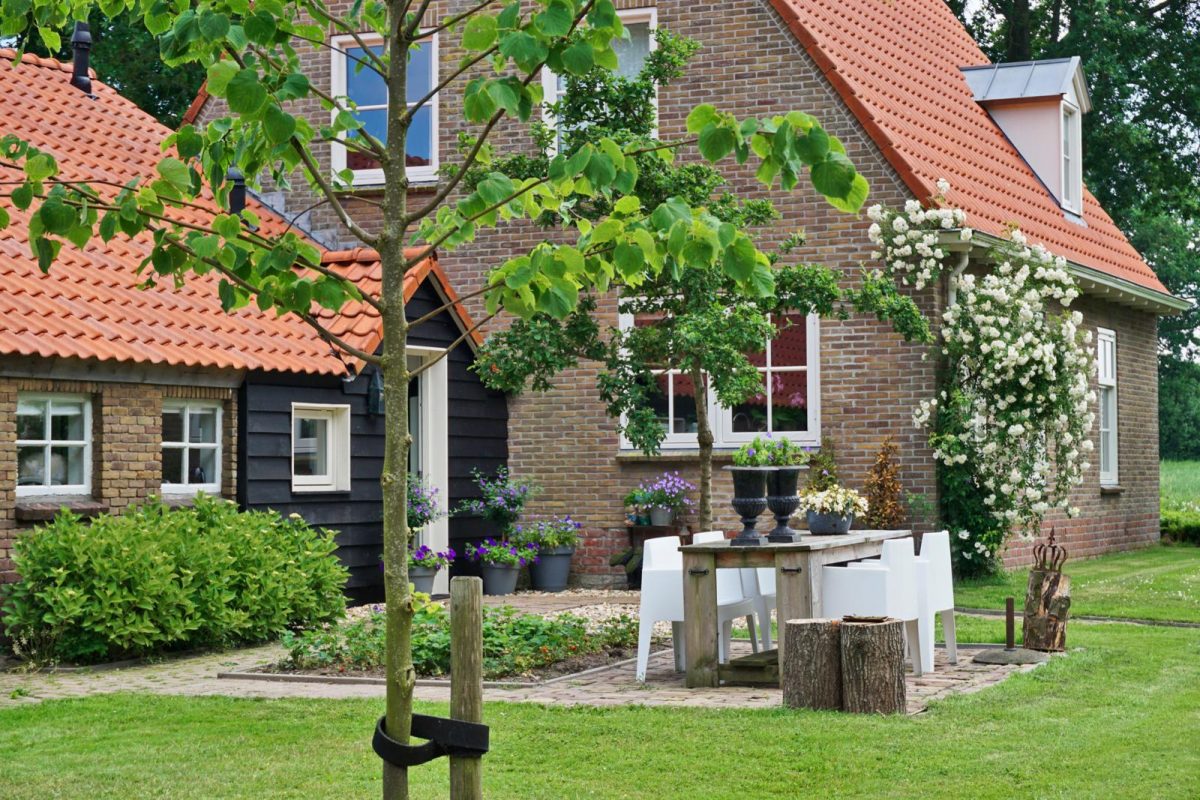 Het Leeuwterveld