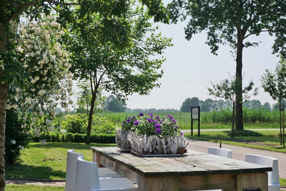 Het Leeuwterveld