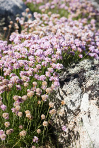 Scilly-eilanden