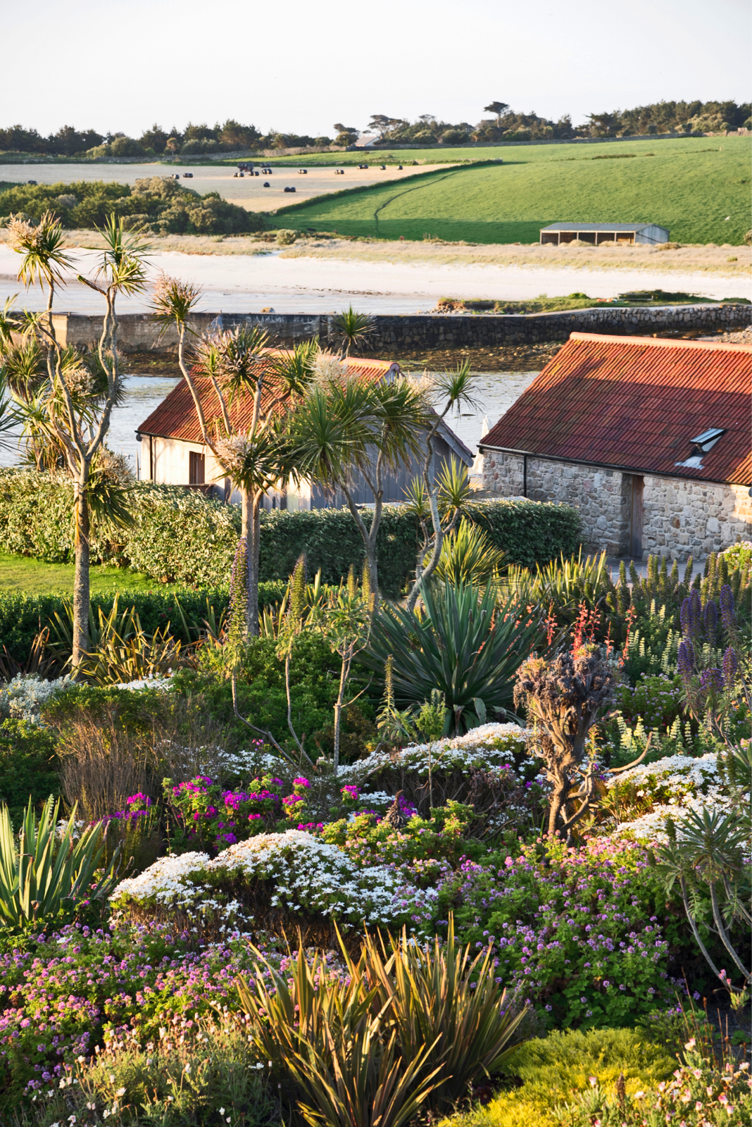 Tresco Scilly islands
