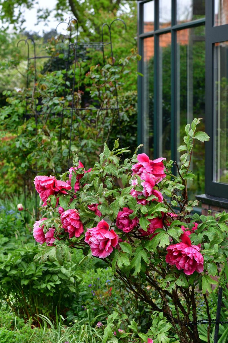 lentetuin