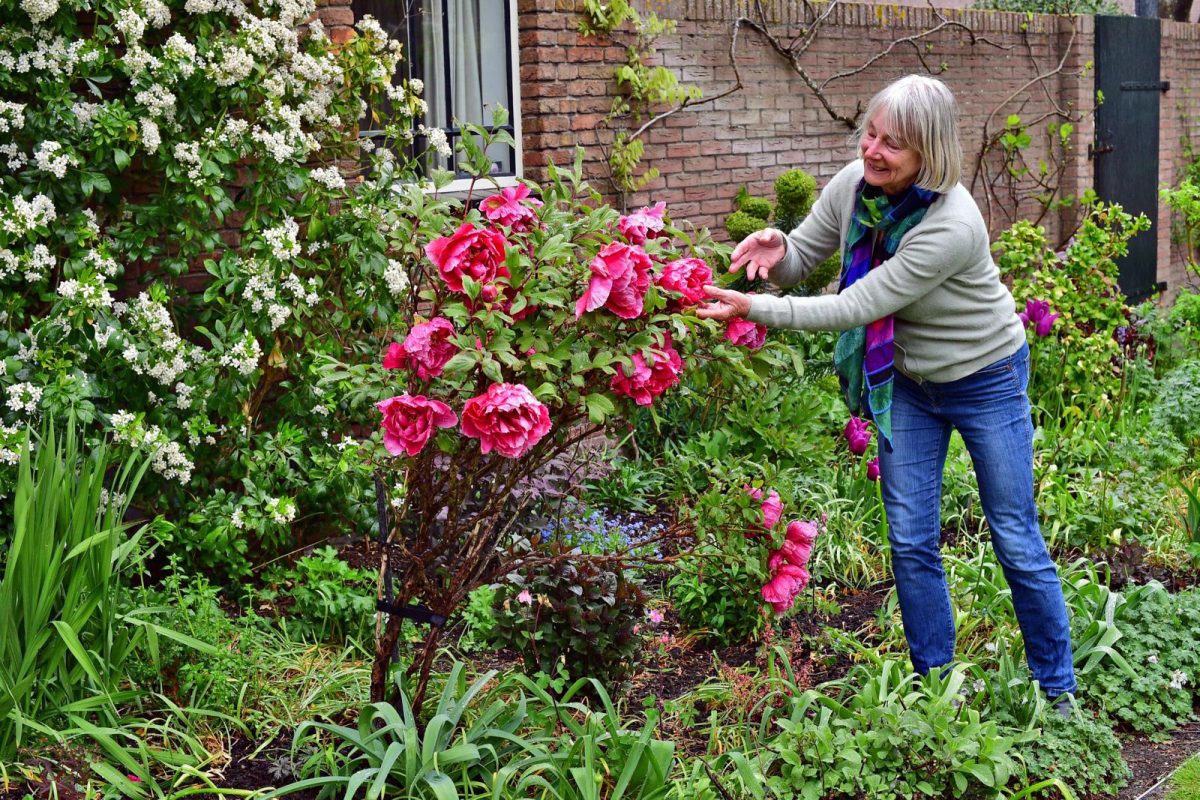 lentetuin