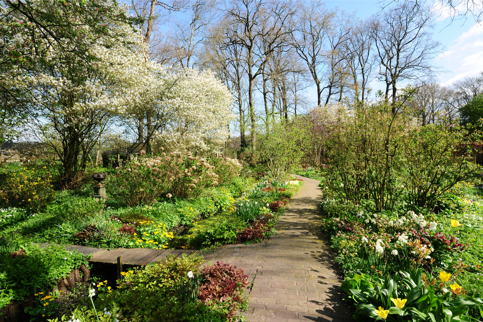 Inspiratie voor de tuin in de lente